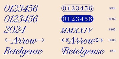 Selva Script